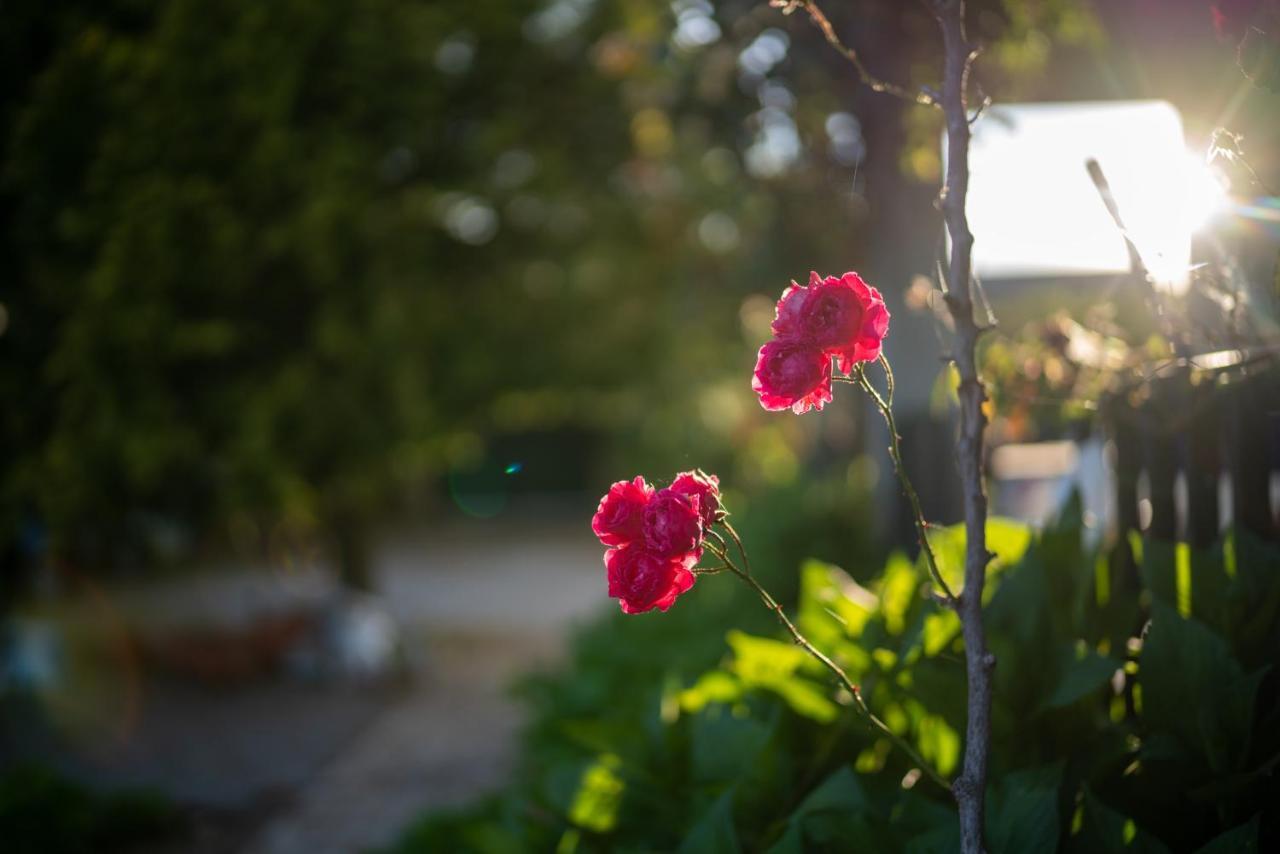 AlijóQuinta Do Sol公寓 外观 照片