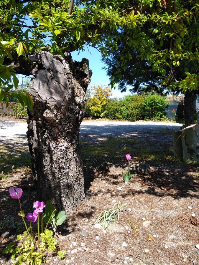 AlijóQuinta Do Sol公寓 外观 照片